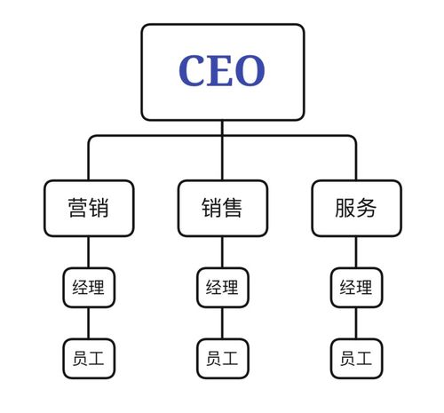 6大電商企業(yè)管理結(jié)構(gòu)剖析